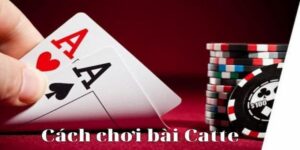 Cách chơi Catte đỉnh cao rinh thưởng khủng tại Win55 7 cach choi catte 1
