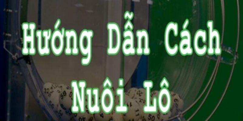 cach nuoi lo khung
